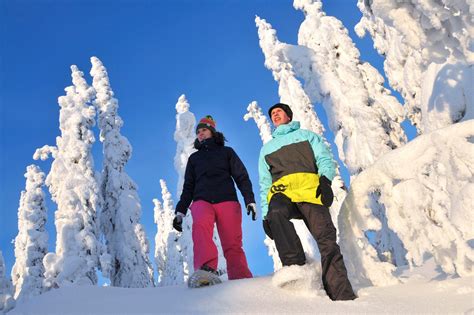 Finland Winter Adventure Break | Finland Tours | Regent Holidays