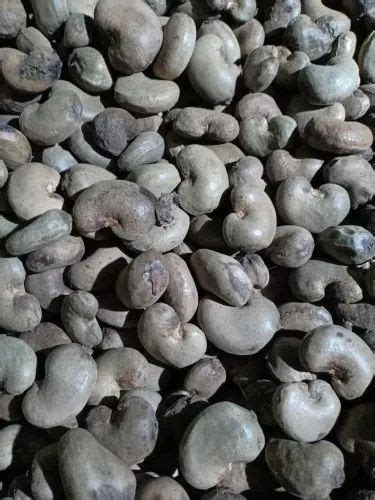 Raw Natural Cashew Nut Packaging Size Loose At Rs 130 Kg In Palla