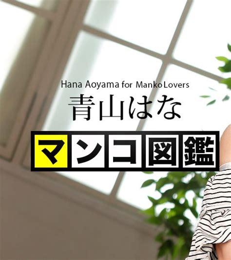 Pussy Encyclopedia Hana Aoyama Hana Aoyama JAVHD