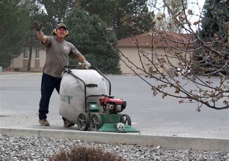 Yard Cleanup Sande Wards Landscape Management