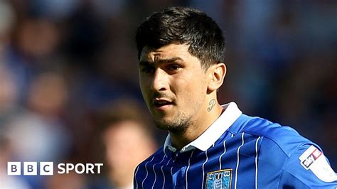 Fernando Forestieri Sheffield Wednesday Forward Sorry For Refusing To