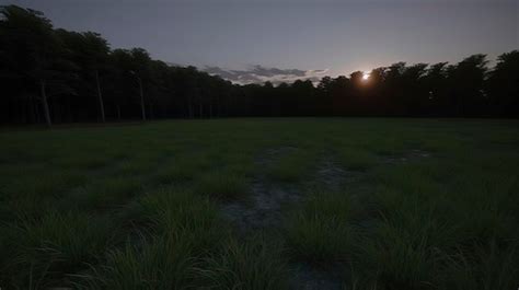 Premium Photo | A field with a sunset in the background