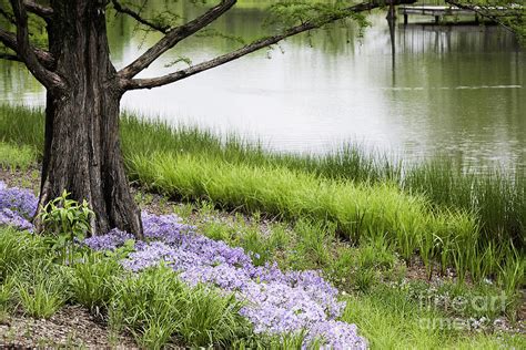 Summer Day Photograph By Patty Colabuono Fine Art America