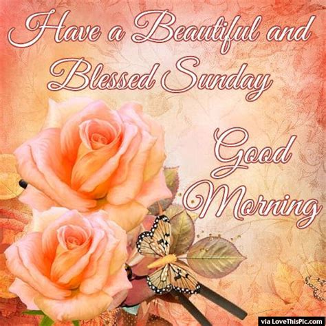 Good Morning Wishes On Sunday Pictures Images Page