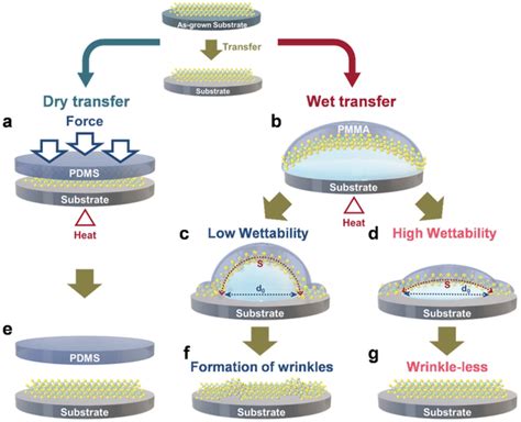 Schematic Illustration Of Wet And Dry Transfer Methods Dry Transfer