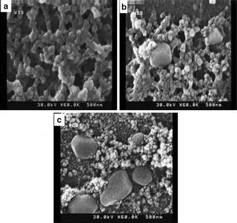 Fe Sem Of A Silica Nano Porous Thin Film B Day And C Day Under