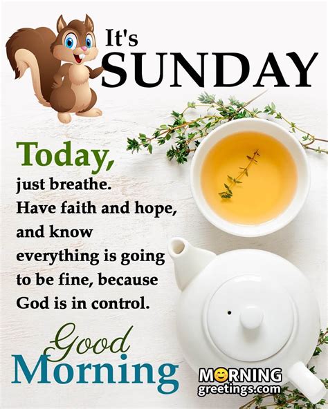 50 Best Sunday Morning Quotes Wishes Pics Morning Greetings Morning