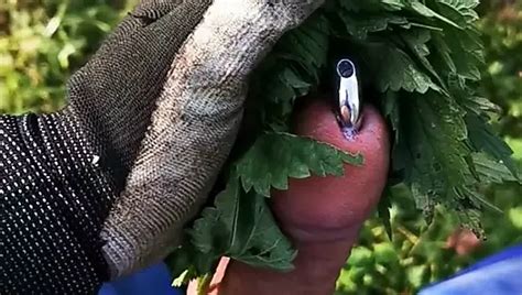 Nettles On The Tail And Sack Part Gay Bdsm Porn Feat Stringfan Xhamster