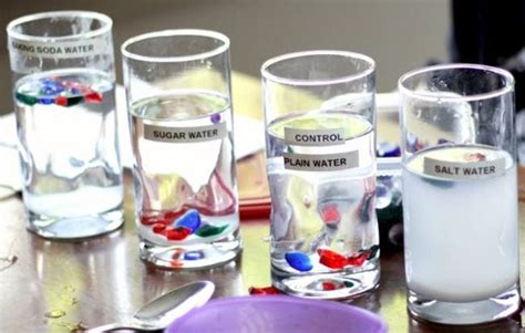 27 Fun And Easy Second Grade Science Experiments And Activities