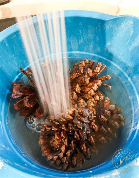 How To Clean Pine Cones For Crafting Pine Cone Christmas Decorations