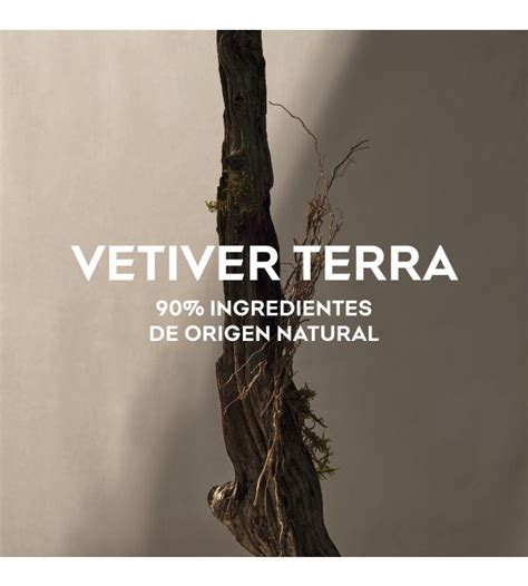 Vetiver Terra adolfo dominguez Perfumerías Avenida