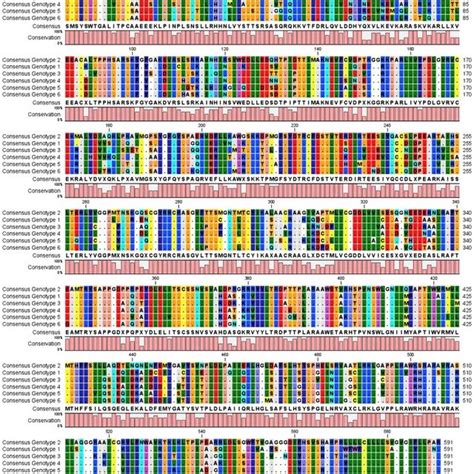 Multiple Sequence Alignment of Consensus Sequences of the Genotypes 1 ... 