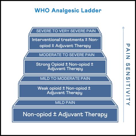 How Genes Influence The Breakdown Of Analgesics Xcode Life