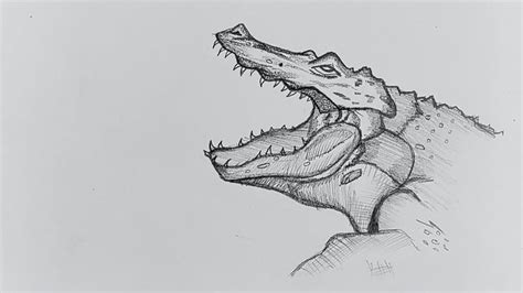 How To Draw Crocodile // Crocodile Face Drawing // Realistic Crocodile ...