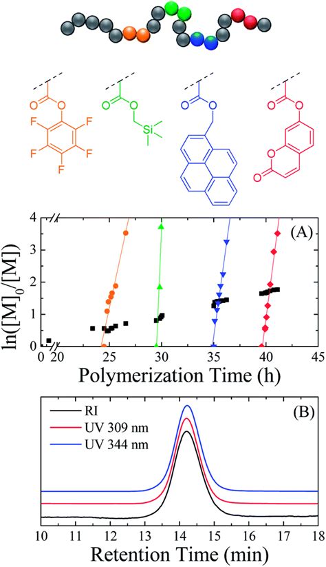 Precision Polymers A Kinetic Approach For Functional Polynorbornenes