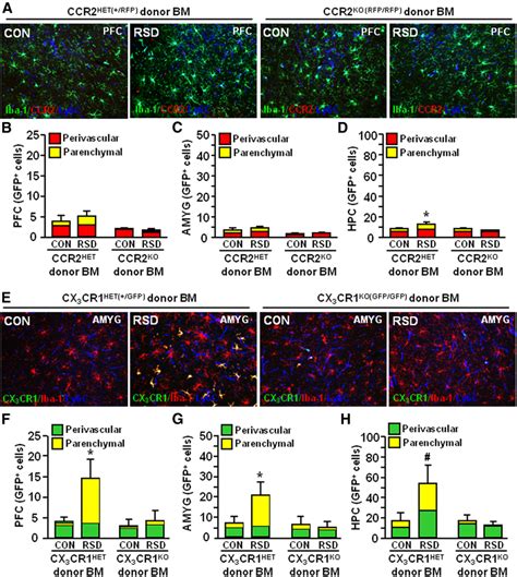 Expression Of Ccr And Cx Cr On Peripheral Myeloid Cells Was