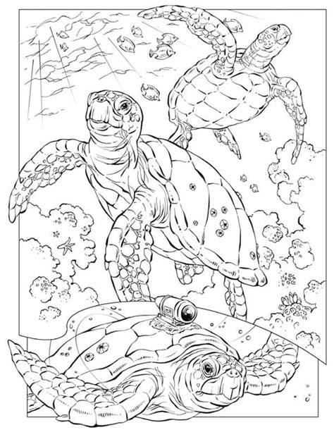 Realistic Sea Turtle Coloring Page Realistic Sea Turtle Coloring Page