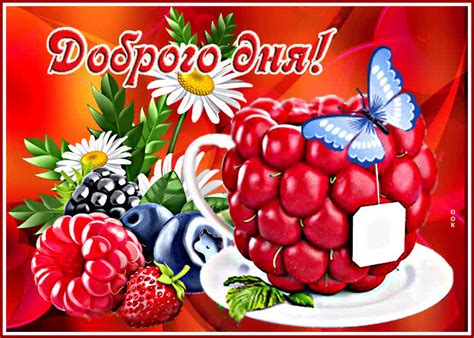 Супер открытка с ягодами и бабочкой Доброго дня- Скачать бесплатно на ...