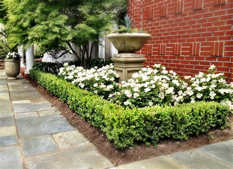 boxwood hedge landscaping ideas - Maren Duffy