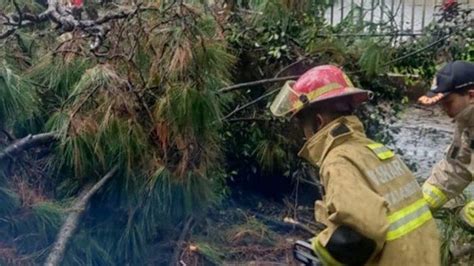 Hujan Deras Disertai Angin Kencang Di Kota Bandung Tumbangkan Pohon