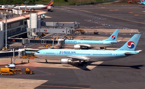 제주공항 초속 24m 태풍급 강풍 결항 잇따라