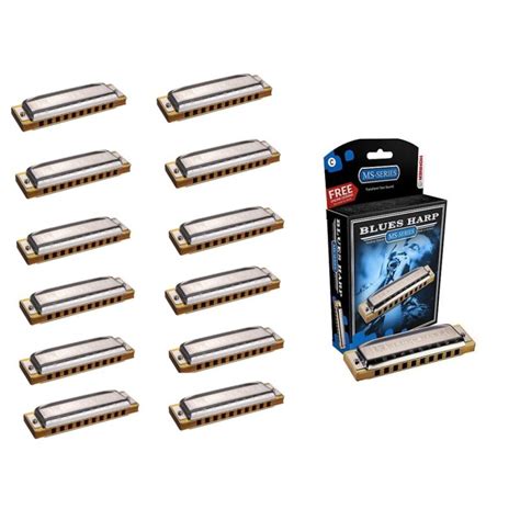 Hohner Blues Harp 12 keys Set