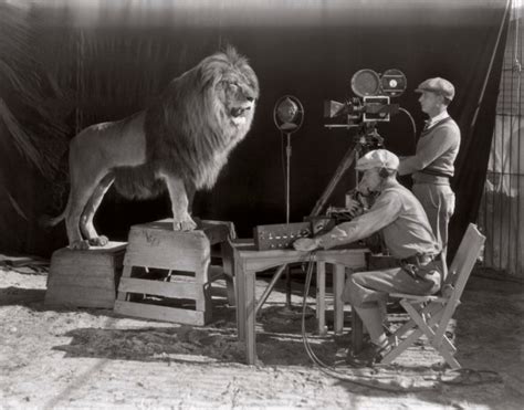 Vintage Images: MGM Lion – SwittersB & Exploring