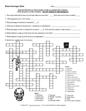 Bones Scavenger Hunt Answer Key
