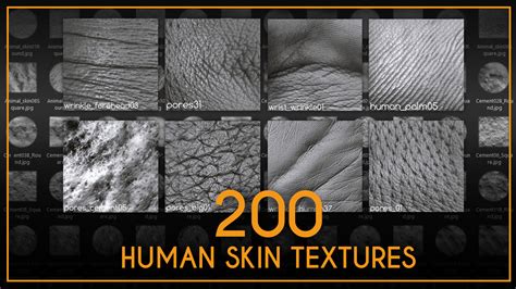 Artstation 200 Human Skin Textures Brushes