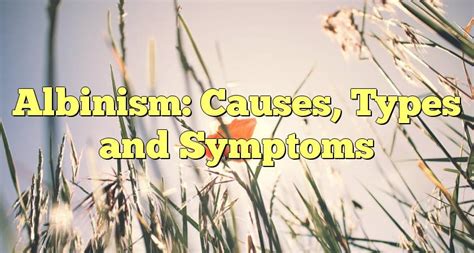 Albinism Causes Types And Symptoms