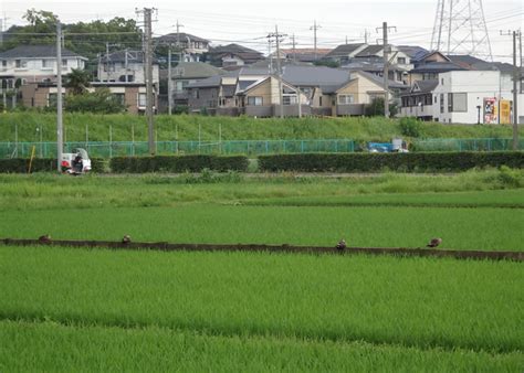 無線ブログ集 横浜市青葉区 ライセンスフリー無線情報