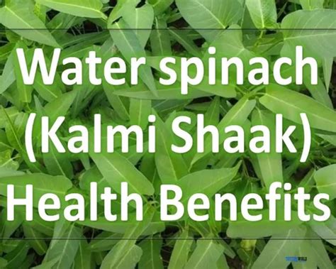 Water Spinach Kalmi Shaak Eating Of Health Benefits