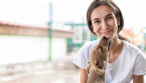 Importancia de llevar a cabo una adopción responsable Animales Leales