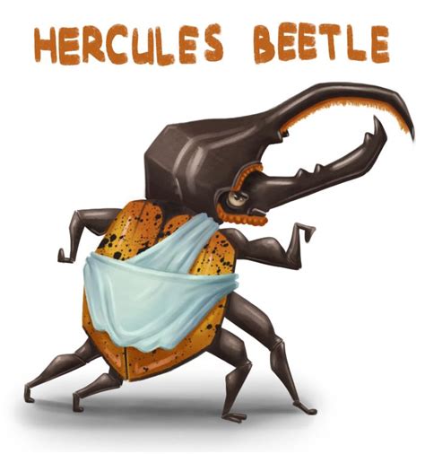 Hercules Beetle | Hercules beetle, Beetle, Hercules