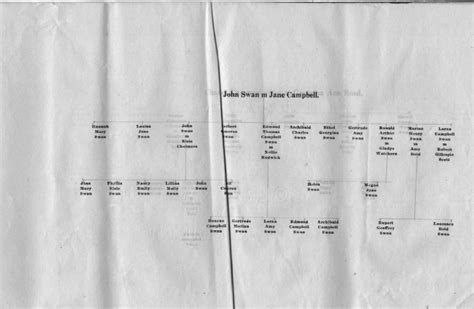 Family Tree — Swan Family 200 Years