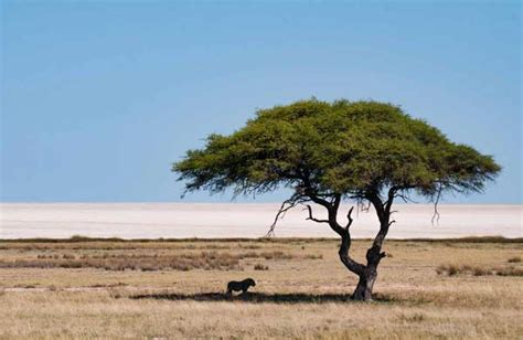 Viaje A Namibia Bellezas De Namibia Viajes Nakara