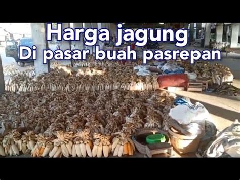 Riview Harga Jagung Daun Prey Kubis Kentang Dan Labu Siyam Di Pasar