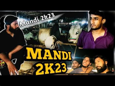 Mandi Visit For Qurbani 2023 Zohaib Rahat Vlogs YouTube