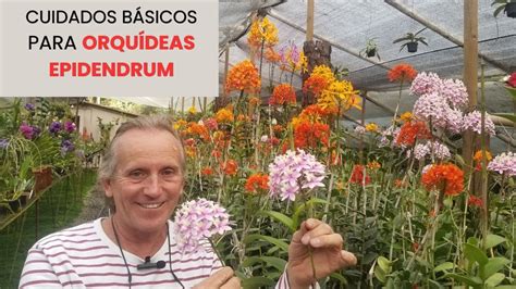 Cuidados Básicos para Orquídeas Epidendrum Guía Completa para su