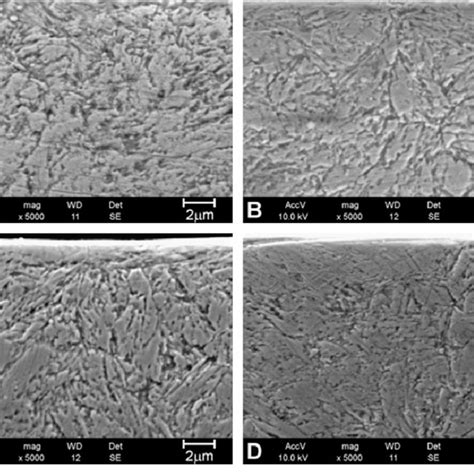 Sem Micrographs Of Cross Sections Of Aisi H13 Tool Steel Samples After