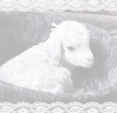 Registration Wiki Hot Winter Amino