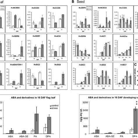 Expression Profiles Of Aba Biosynthetic Catabolic And Deconjugation