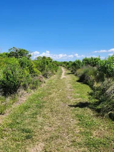 Best Bird Watching Trails In Aransas National Wildlife Refuge Alltrails