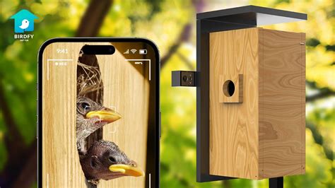 BackerMany | Birdfy Nest: A Dual-Camera Smart Bird House