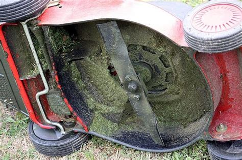 Mulching Blades vs Regular Blades: What's Best For Your Lawn?