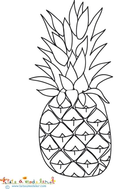 Dessin Ananas A Colorier