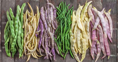 15 Of The Finest Kinds Of Pole Beans