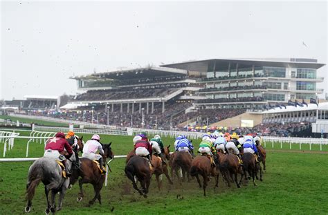 Cheltenham Festival tickets | 🏇 Horse Racing | Spectator info