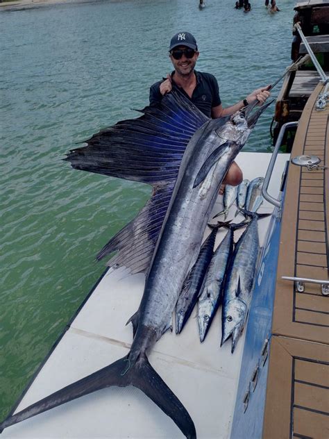 Blue Marlin Marlin P Che Au Gros Ile Maurice Letriofishing