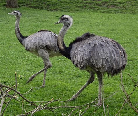 Rhea wallpapers, Sci Fi, HQ Rhea pictures | 4K Wallpapers 2019